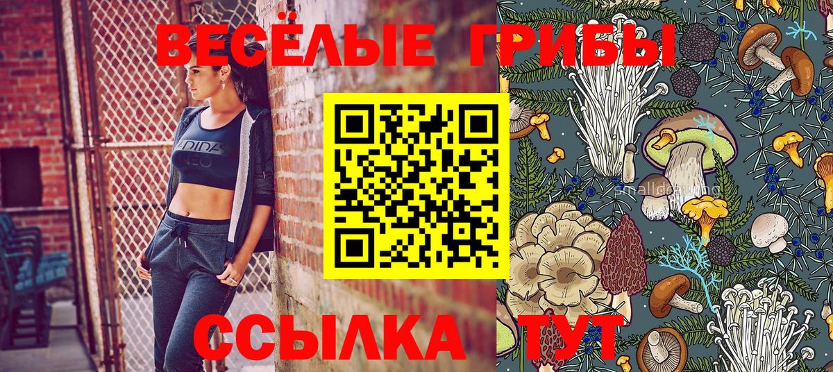 МЕФ  Канабис  Мефедрон кристаллы  COCAIN  Вход с VPN  Северобайкальск  Бошки Шишки  Гашиш  Кодеин 