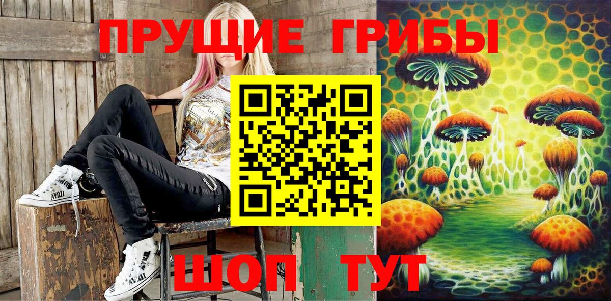 Северобайкальск  Галлюциногенные грибы Cubensis  Вход с VPN 